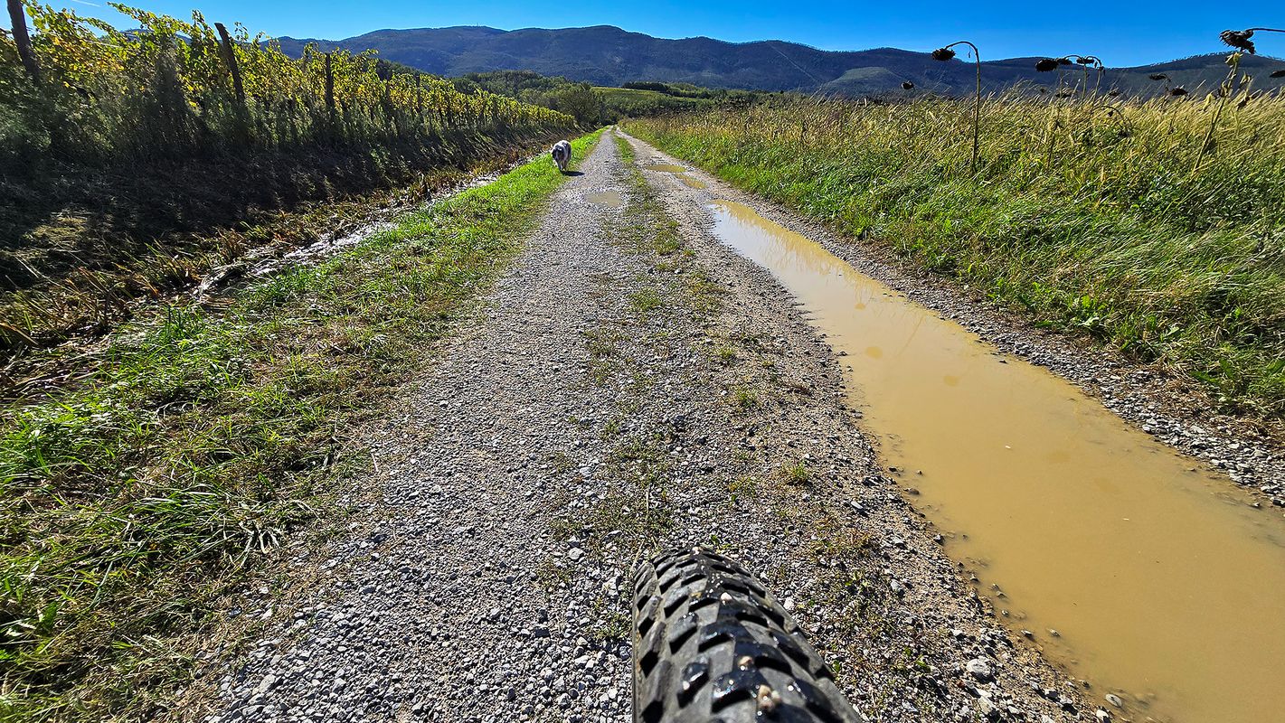 Vogrsko MTB