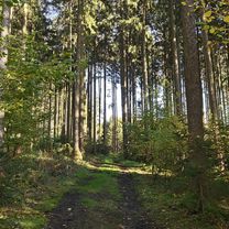 Tour kreuz und quer über den Standortübungsplatz Oberhinkofen