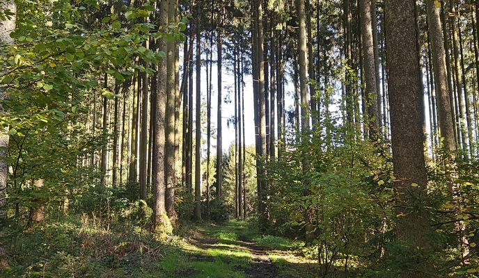 Photo 1 de l’itinéraire Bikemap « Tour kreuz und quer über den Standortübungsplatz Oberhinkofen »