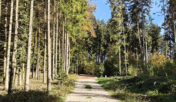 Photo 2 de l’itinéraire Bikemap « Tour kreuz und quer über den Standortübungsplatz Oberhinkofen »