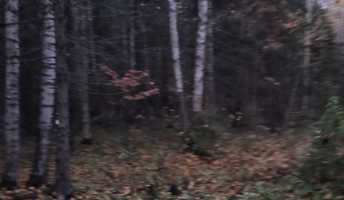 Foto 2 der Bikemap-Route "От Южная улица 11, Гатчина до улица Перегудова 15, Гатчина"
