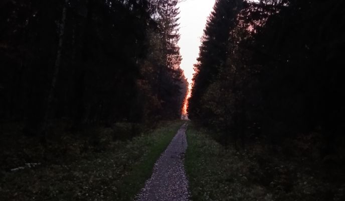 Foto 1 der Bikemap-Route "От Южная улица 11, Гатчина до улица Перегудова 15, Гатчина"