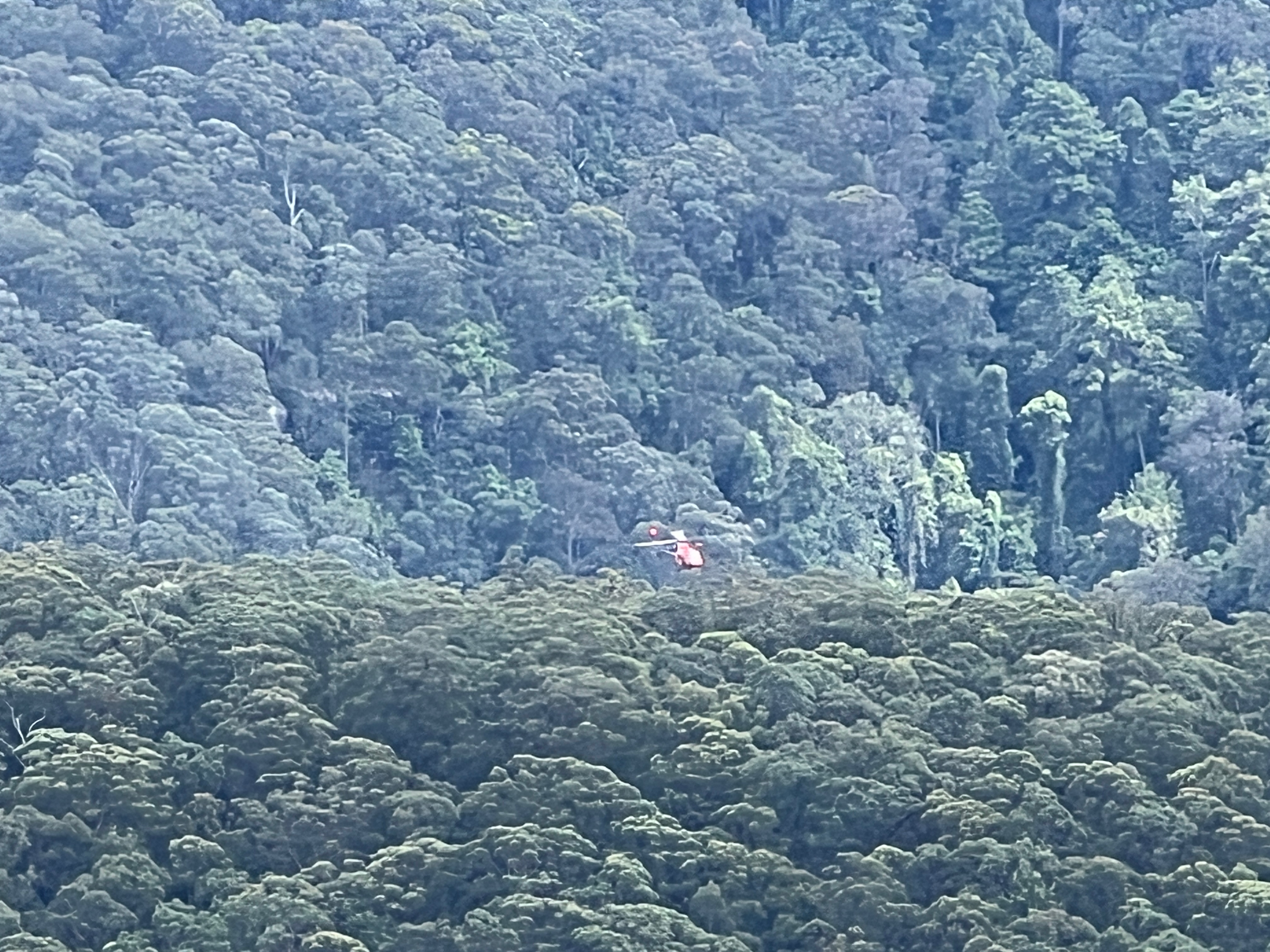 Long Angle, Blue gum, Grose Head Sth, Faulconbridge Pt Cycling