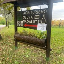 Via Plebiscito 1–13, Buttrio a Via Peruzzi 9, Buttrio