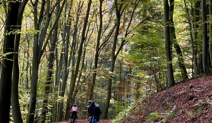 Photo 1 of the Bikemap route "Rurtalsperre"