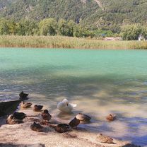 Da Ponzano Veneto verso Quinto di Treviso, Ostiglia verso Treviso, zona Fiera e casa ...