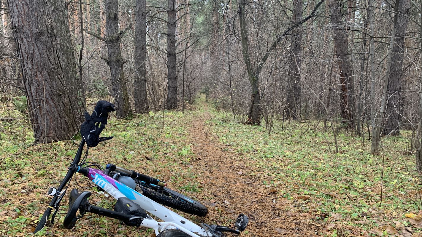 В дощщщьььь