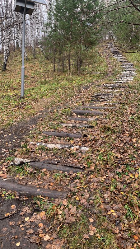 В дощщщьььь