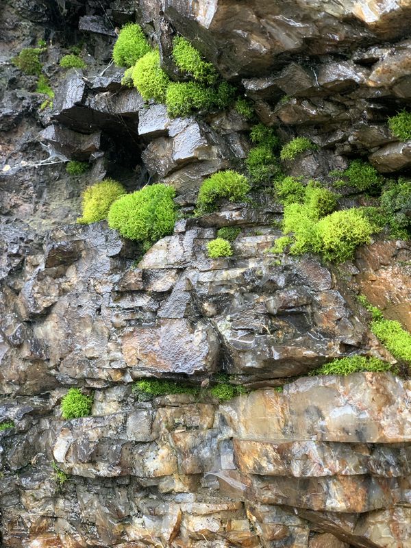 В дощщщьььь