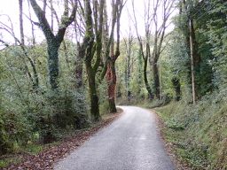 Combret (La Loubière) to Castres