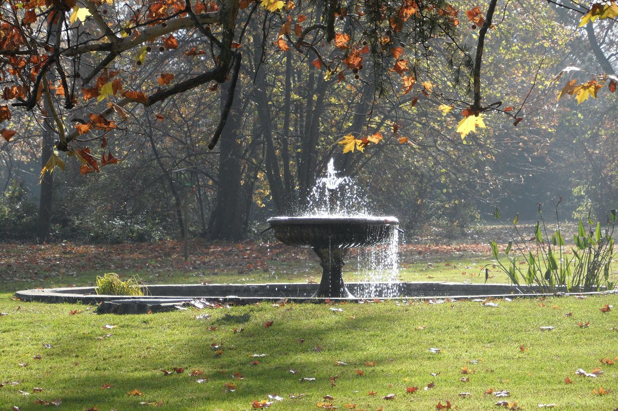 Reggio Emilia to Mamiano (Pr) Fondazione M.R.