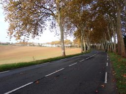 Lavaur to Colomiers