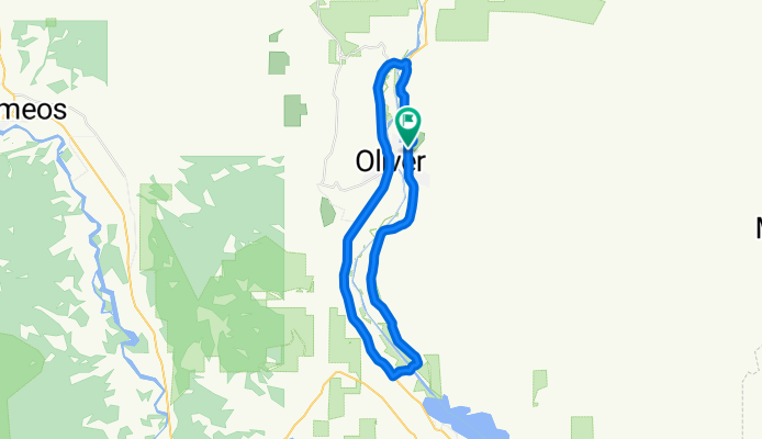 Olive Half Ironman Bike