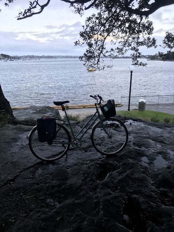 Kogarah to Carss Park