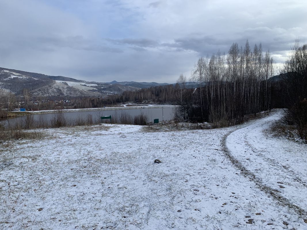 По первому снегу