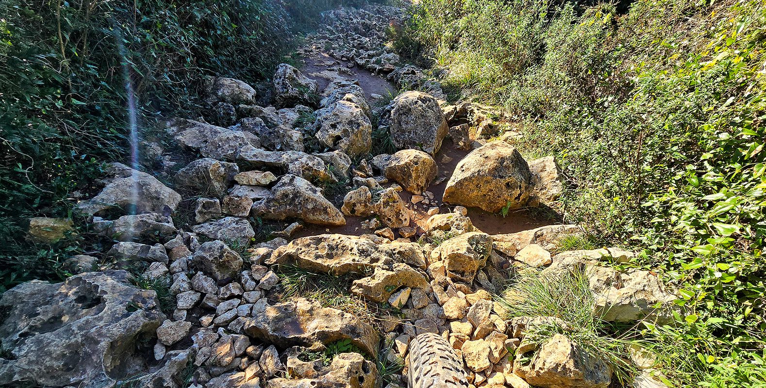 Kamenjak MTB
