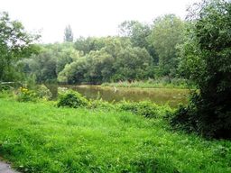 Punto saliente 9 lungo il percorso Bikemap "Donauradweg - 11 day (Krems - Stift  Gottweig - Treismauer - Krems)"