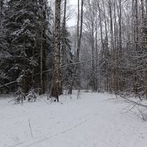 Photo 8 of the Bikemap route "От Пушкинская улица 5, Гатчина до Загородная улица 23, Гатчина"