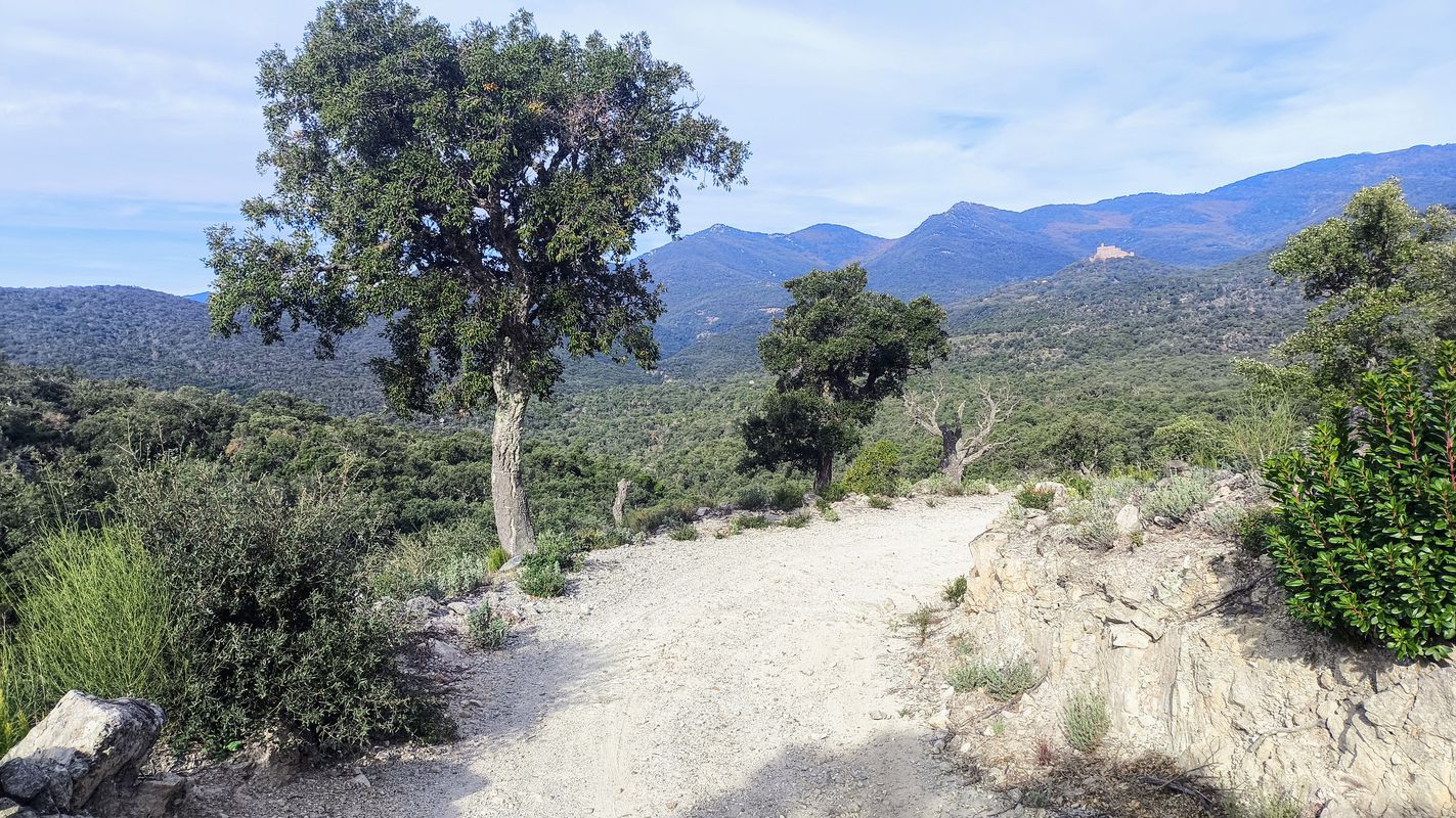 17 Figueres Peralada Masarac Sant Climent Espolla Vilars l'Esparreguera Pla de les BRUIXES REQUESENS Medàs Cantallops Capmany