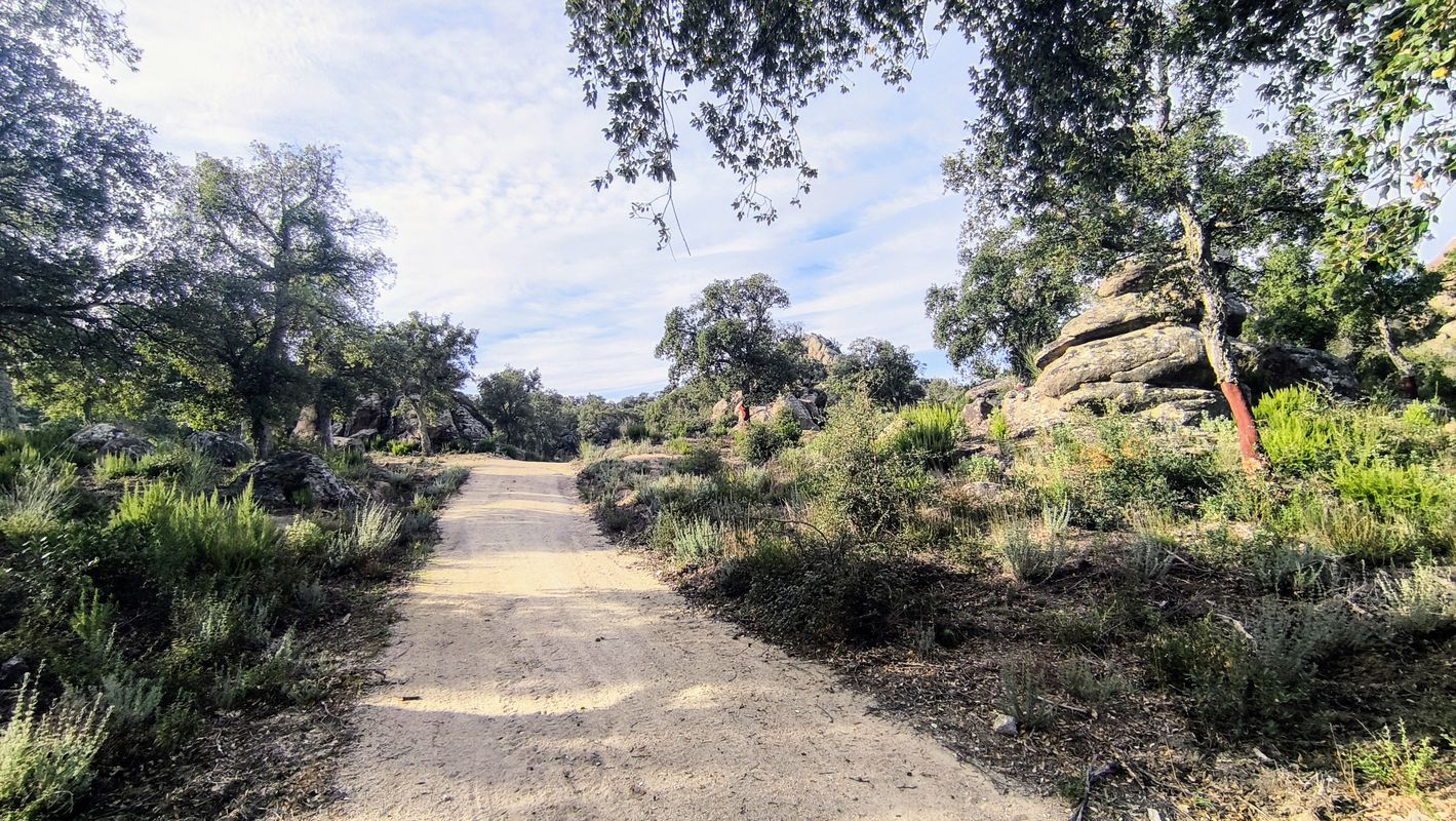 17 Figueres Peralada Masarac Sant Climent Espolla Vilars l'Esparreguera Pla de les BRUIXES REQUESENS Medàs Cantallops Capmany