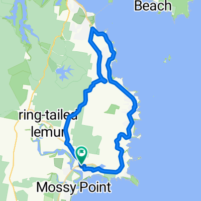 Extended Tomakin loop