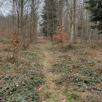 Foto 7 der Bikemap-Route "Aarerundi Neubrügg" Foto 7 der Bikemap-Route "Aarerundi Neubrügg"