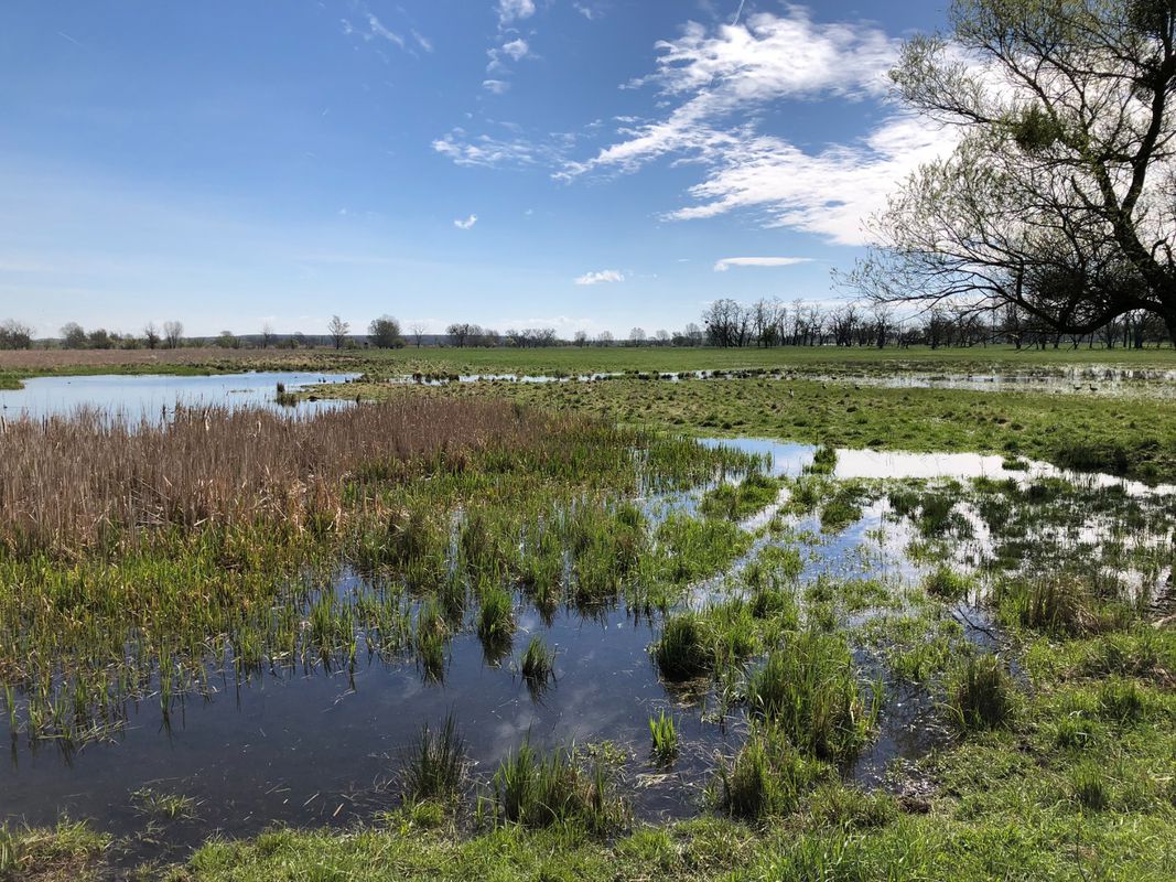 Nemzeti Park kerékpárút HU Hanság egyeztetési verzio 20250211 sor 20, 9330