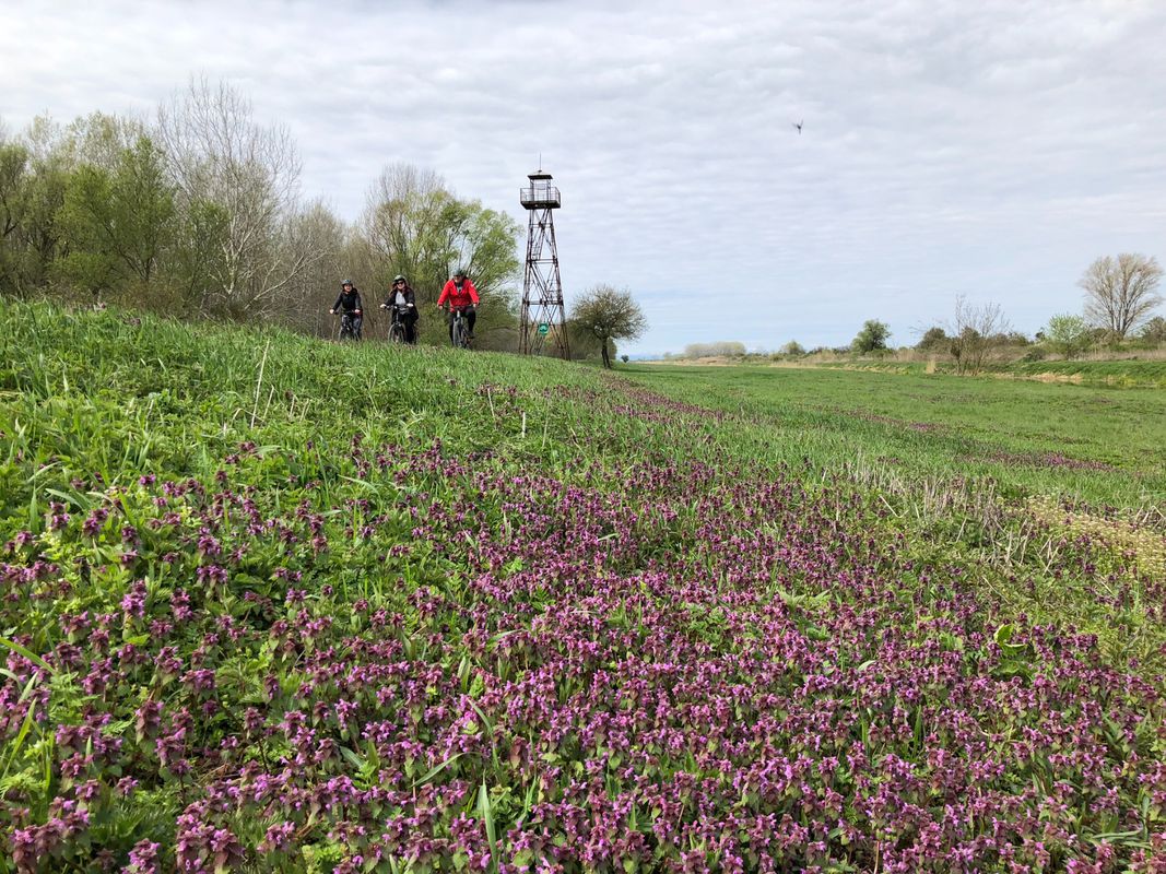 Nemzeti Park kerékpárút HU Hanság egyeztetési verzio 20250211 sor 20, 9330