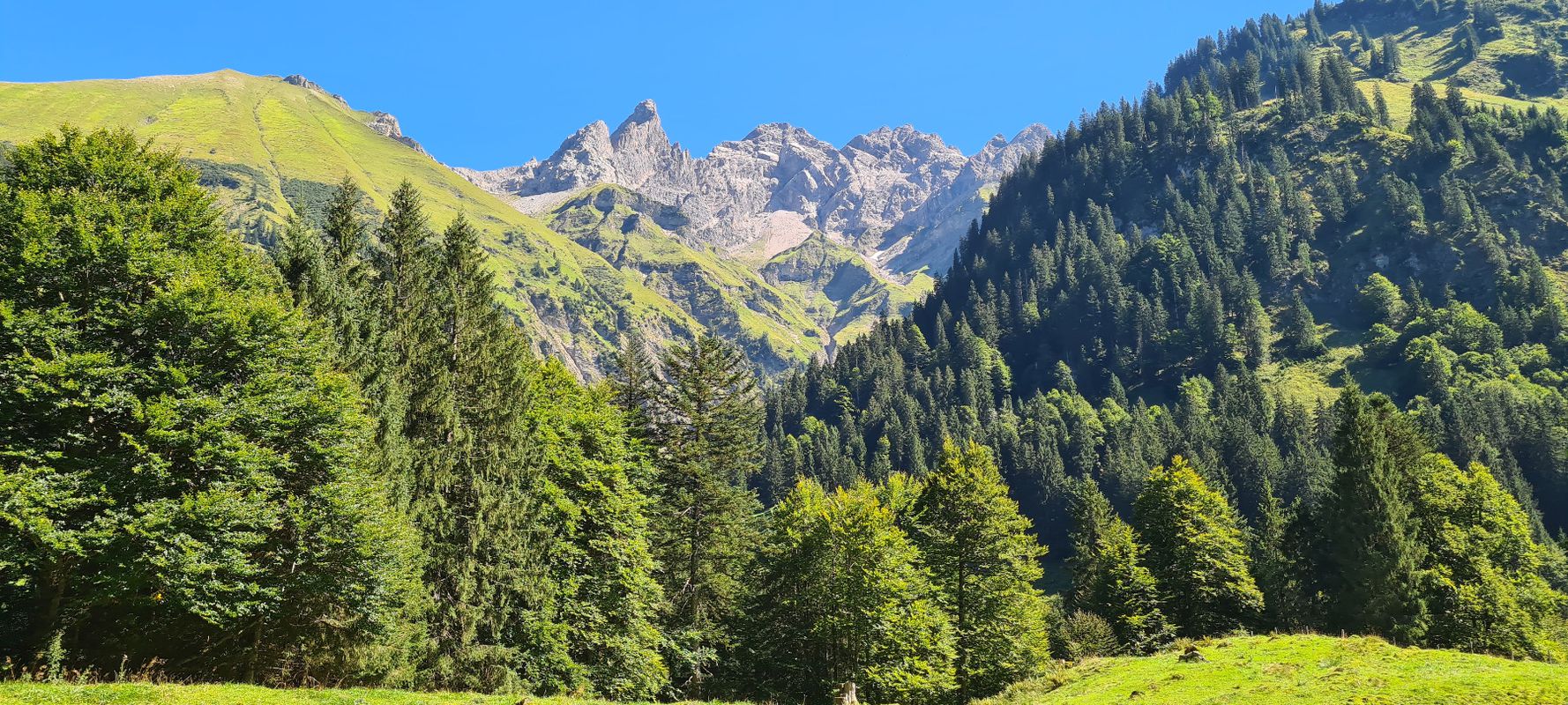 Fischen im Allgäu,Oberstdorf,Heini-Klopfer-Skiflugschanze,Schwarze Hütte &amp; zurück über Fischen