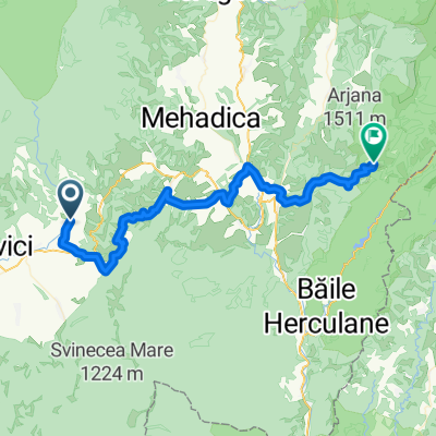 VT - Ziua 25 - Borlovenii Vechi - Prigor - Lapusnicel - Crusovat - Dobroaia
