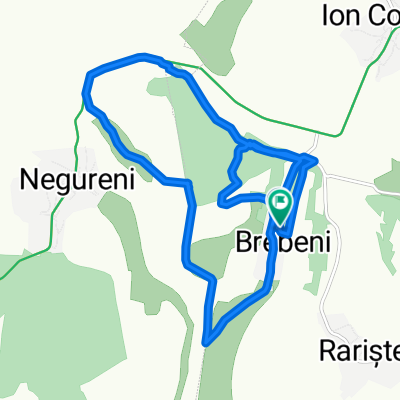 Ion Corvin