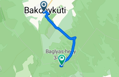 Route in der Bikemap App öffnen