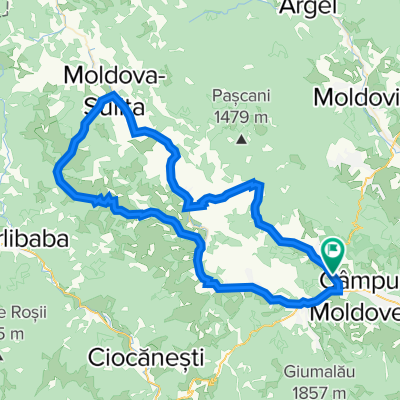 obcinele federeului-mestecanis. 10.06.2012. mimis,daniel,adrian,andrei,giani,tiberiu