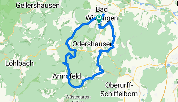 Bad Wildungen-Bergfreiheit-Wald-BW