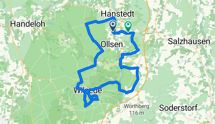 Nr. 16 Runde Lüneburgerheide (55 km)