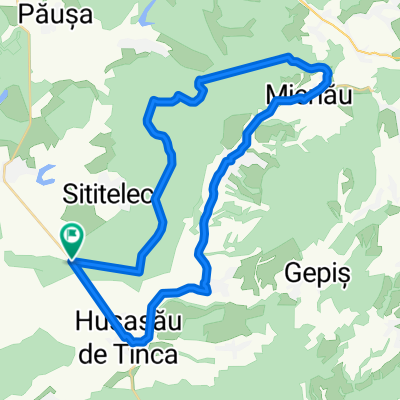 Husasau de Tinca , Mierlau