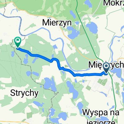 Szpitalna, Międzychód do Muchocinek, Międzychód