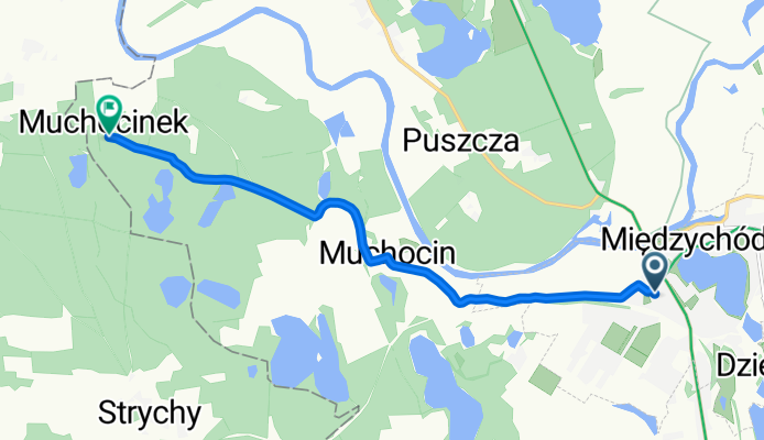 Szpitalna, Międzychód do Muchocinek, Międzychód