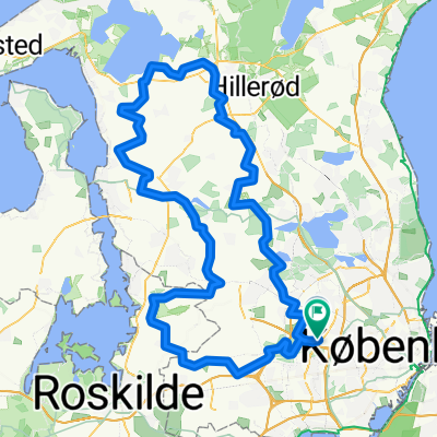 125 Store Lyngby