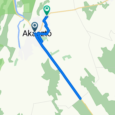 Akasztó helyi hálózat