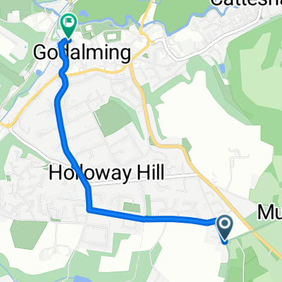 Surrey Cycleway: Godalming segment