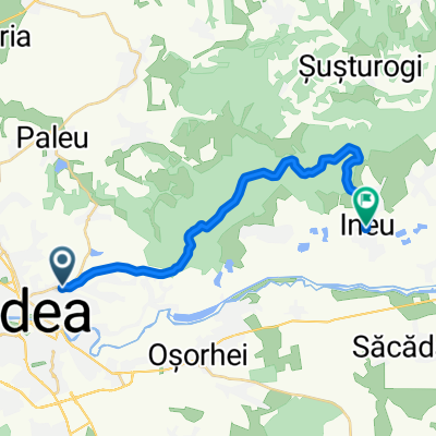 From Großwardein to Ineu