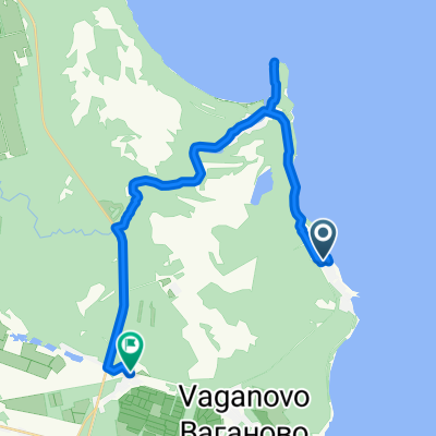 Дорога Жизни, посёлок Крылово до Центральная улица, деревня Борисова Грива