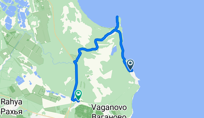 Дорога Жизни, посёлок Крылово до Центральная улица, деревня Борисова Грива