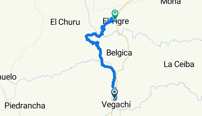 tigre