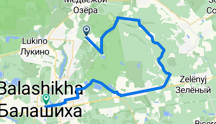 От Поляна Снт до проспект Ленина 39, Балашиха