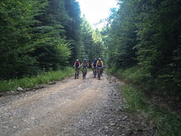 Highlight 4 along the Bikemap route "Prezentarea traseului scurt SGMTBM 2012" Highlight 4 along the Bikemap route "Prezentarea traseului scurt SGMTBM 2012"