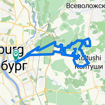 янино