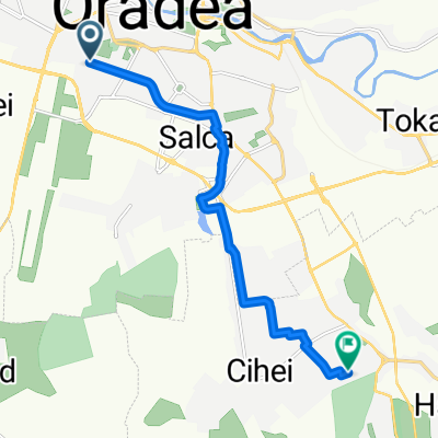 Strada Făgărașului, Oradea to Strada Henri Coandă, Sinmartin