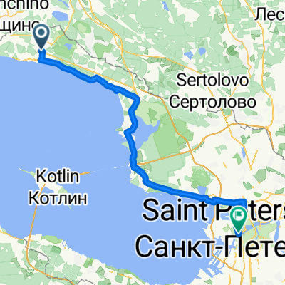 Есть новый рекорд 74 км: из Зеленогорска домой (плюс 8 км до Финбана)